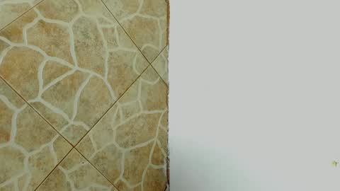 Snapshot of damara_ochoa chatting on 02/08/25, 07:04 online show from 02/08/25, 07:04