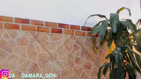 Snapshot of damara_ochoa chatting on 02/22/25, 07:45 online show from 02/22/25, 07:45
