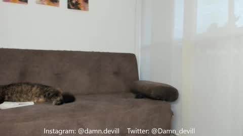 Angie   online show from 03/01/25, 10:53