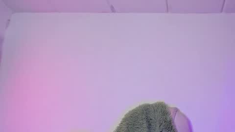 Snapshot of damn_that_booty chatting on 02/06/25, 04:21 Criss online show from 02/06/25, 04:21