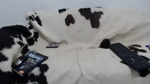 dan_jonson15 online show from 11/27/25, 06:43