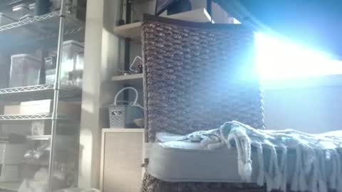 Dan online show from 02/12/26, 04:35