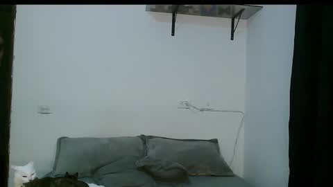 Snapshot of dan_yagami chatting on 03/05/25, 12:27 Dan and Noah online show from 03/05/25, 12:27