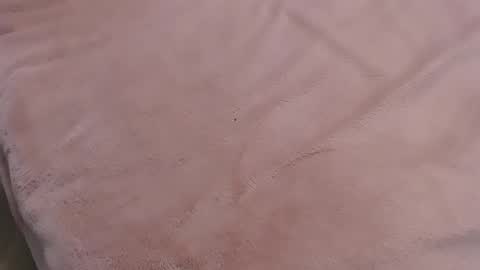  Danna Lovense is activeThere are legends that in this room all your wishes can come true  Private is Open online show from 01/11/25, 09:57