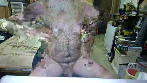 Dana online show from 10/29/25, 04:42