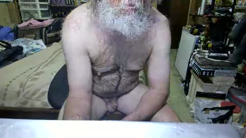 Dana online show from 04/19/26, 02:49