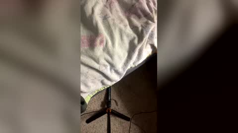 danger_yummy online show from 04/21/26, 05:36