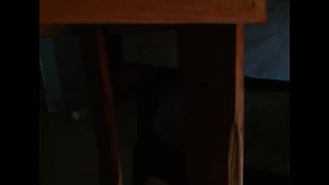 Snapshot of dangerhook chatting on 11/24/25, 11:32 dangerhook online show from 11/24/25, 11:32