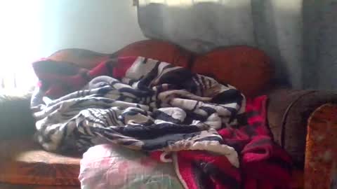 Snapshot of dani9821569006 chatting on 03/25/26, 05:08 dani9821569006 online show from 03/25/26, 05:08