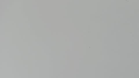 Snapshot of daniel_kingxxx chatting on 03/02/26, 12:34 daniel_kingxxx online show from 03/02/26, 12:34