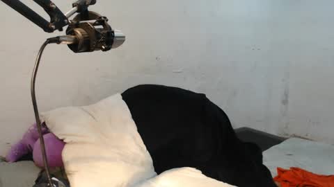 danielitopapii online show from 12/13/24, 06:49