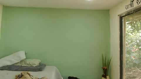 Snapshot of danielitopapii chatting on 01/16/26, 04:00 danielitopapii online show from 01/16/26, 04:00