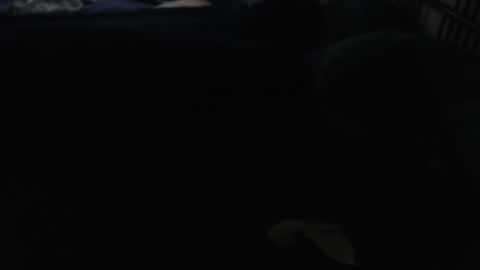Smallcock17 online show from 05/14/26, 06:37