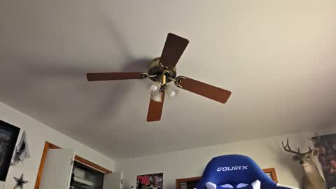 Snapshot of danielp_mod_cb chatting on 10/22/25, 11:15 Daniel y. online show from 10/22/25, 11:15