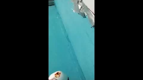 danipas_30 online show from 02/12/26, 05:57