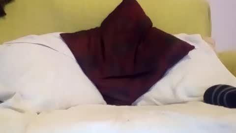 daniroca8 online show from 02/17/26, 06:36