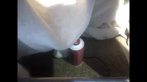 TheDude online show from 12/19/25, 03:57