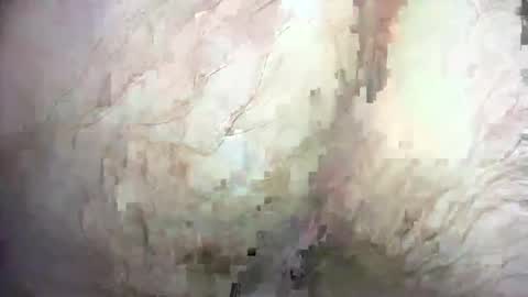 Snapshot of dankz4two0 chatting on 12/21/24, 01:32 dankz4two0 online show from 12/21/24, 01:32