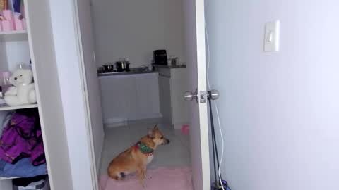 Danna Rhodes online show from 11/30/25, 06:17