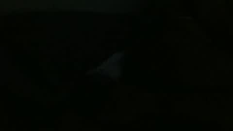 Snapshot of dannithefucksuperstar chatting on 12/24/24, 12:00 Dee online show from 12/24/24, 12:00