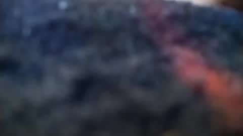 Snapshot of dannowisc chatting on 02/20/26, 04:09 dannowisc online show from 02/20/26, 04:09