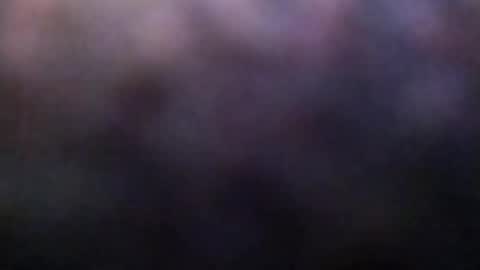 Snapshot of dannowisc chatting on 02/23/26, 02:20 dannowisc online show from 02/23/26, 02:20