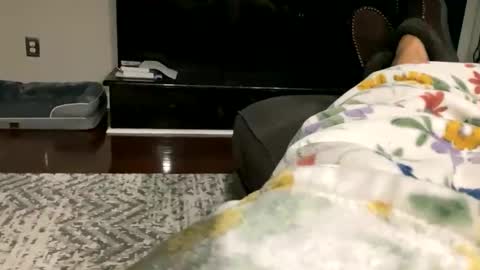 dannyboy621 online show from 10/30/25, 09:33