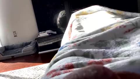 dannyboy621 online show from 11/06/25, 01:56