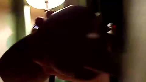 dano9696 online show from 11/01/25, 10:28