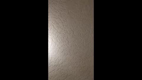 dano9696 online show from 01/19/26, 05:44