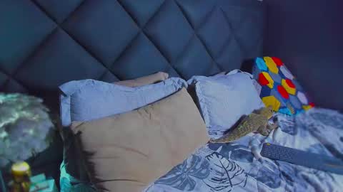 Dany online show from 01/17/26, 06:11