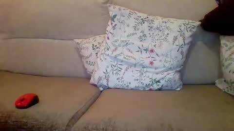 Snapshot of danydotado chatting on 12/21/24, 07:38 danydotado online show from 12/21/24, 07:38