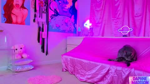 Daphne Madison online show from 02/10/26, 10:14