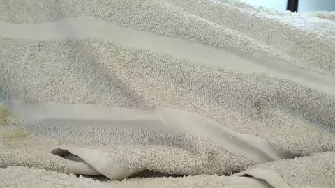 dapppper online show from 09/18/25, 06:10