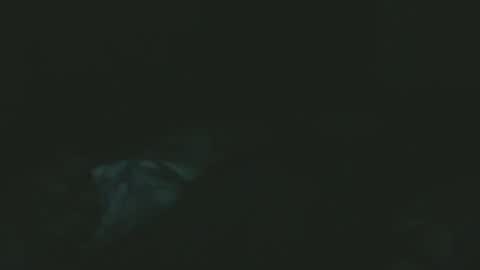 Snapshot of dare2do1 chatting on 11/18/25, 07:29 dare2do1 online show from 11/18/25, 07:29