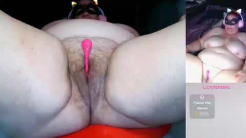 darina_bbw online show from 03/01/26, 01:51