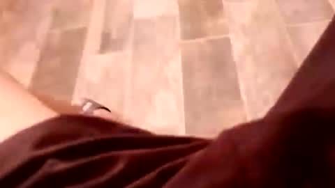 Snapshot of dario1127 chatting on 12/15/25, 06:45 dario1127 online show from 12/15/25, 06:45