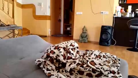 dxd69 online show from 04/22/26, 02:40