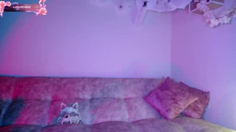 Dark online show from 10/30/25, 11:44