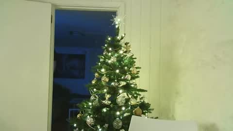 Snapshot of dartanjanas chatting on 12/25/24, 07:56 Dario online show from 12/25/24, 07:56