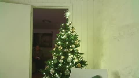 Snapshot of dartanjanas chatting on 01/03/25, 04:06 Dario online show from 01/03/25, 04:06