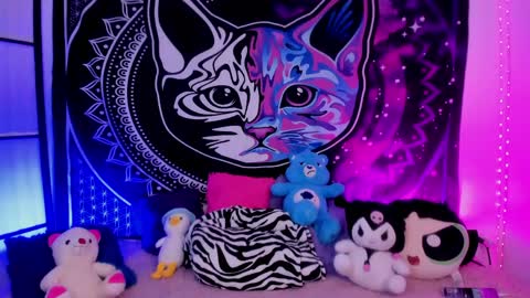 daryimiau online show from 04/20/26, 04:37