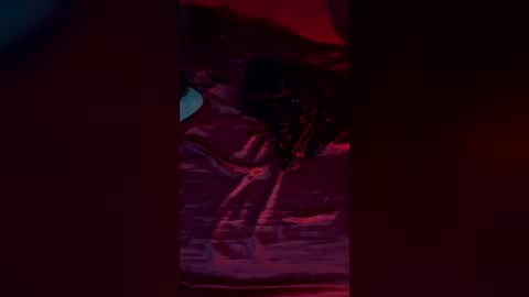 daturasgarden online show from 06/29/26, 05:03