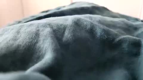 davdao3 online show from 02/16/25, 01:27