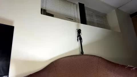 dave875126 online show from 04/21/26, 01:53