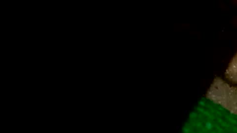 david1982yesyes online show from 04/16/26, 12:39