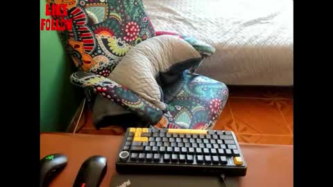 David online show from 03/21/26, 07:17