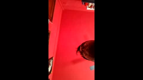 david_argentina online show from 01/11/26, 06:35