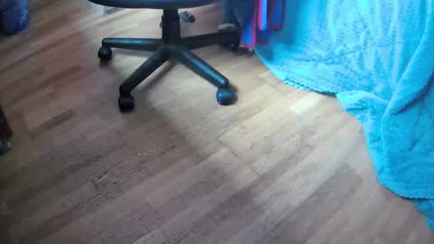 Hugo online show from 02/12/25, 11:51