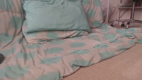 Snapshot of davselfs chatting on 12/02/24, 09:28 dav online show from 12/02/24, 09:28